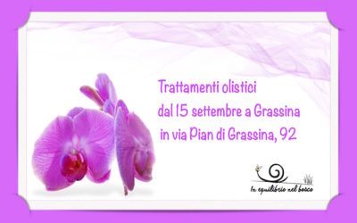 Trattamenti olistici a Grassina da settembre….