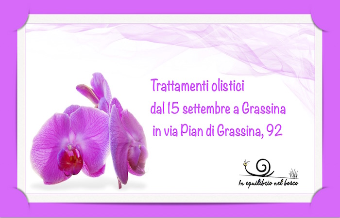 Trattamenti olistici a Grassina da settembre….