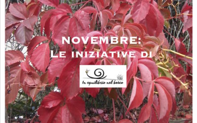 Idee per novembre