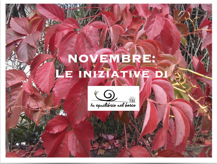 Idee per novembre